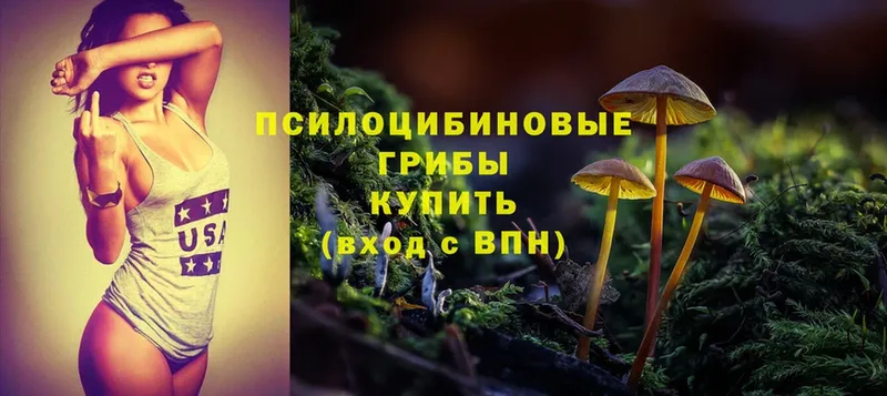 Галлюциногенные грибы Psilocybe  Бокситогорск 